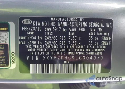 2020 Kia Telluride Lx from USA, damaged, VIN 5XYP2DHC9LG004979